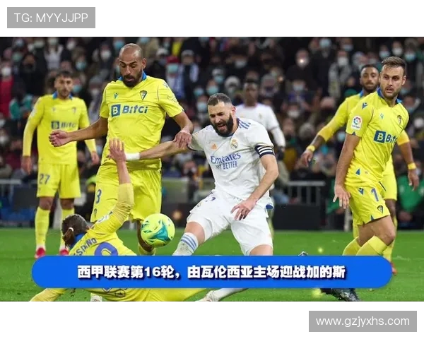 各大卫视频道是否转播西甲赛事的调查